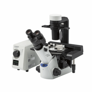 Microscópio Invertido para uso em cultura celular, Modelo CKX53, Marca Olympus